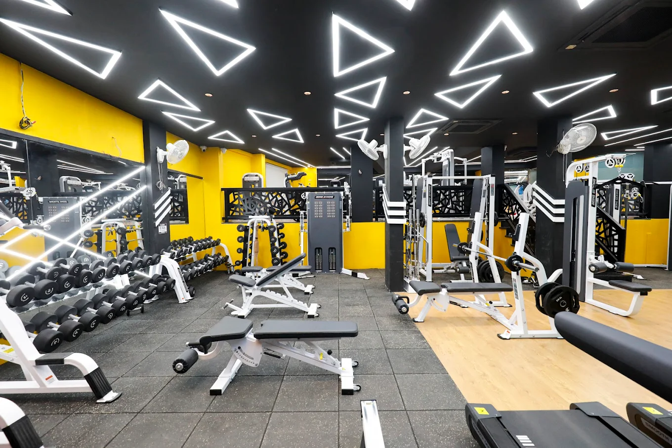 Group Zumba & Dance Fitness Studio